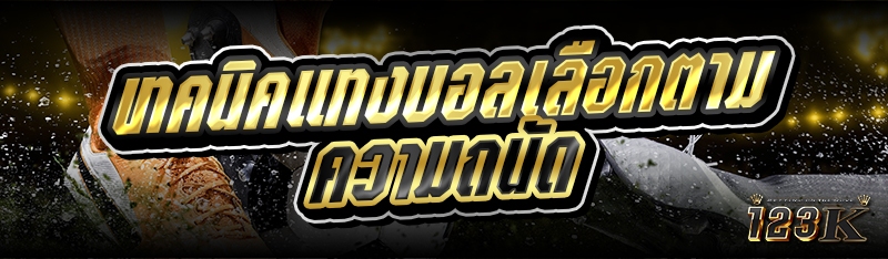 เทคนิคแทงบอลเลือกตามความถนัด